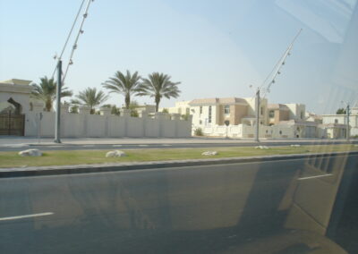 immagini 256