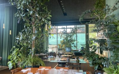 RISTORANTE SEMPIONE